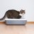 コンパクトな猫トイレおすすめ10選！選び方や理想の置き場所