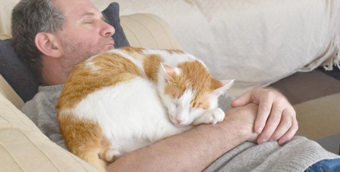 猫が『飼い主の体の上で眠りたがる』4つのワケ！他の場所で眠る時との心理的な違いとは？