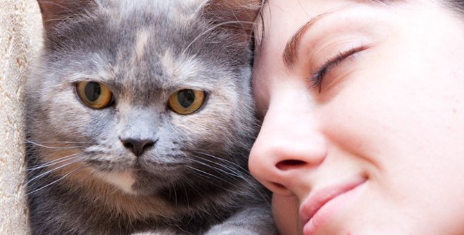 猫の正しい叱り方とその際の注意点
