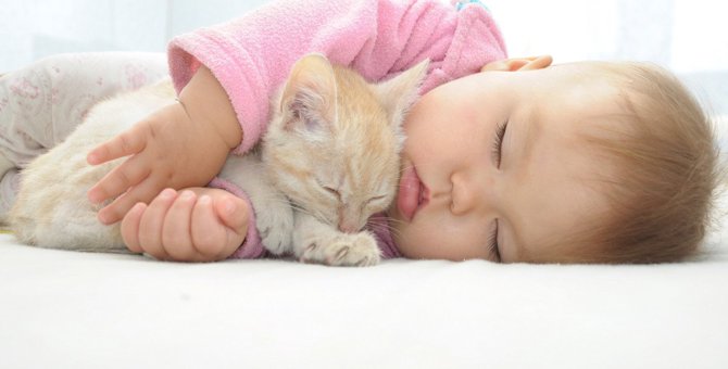 猫が『赤ちゃんと同居』する時に潜む危険3つ！飼い主ができる対策とは