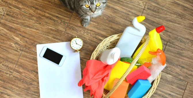 猫の『抜け毛』がたまりやすい場所４選！おすすめの掃除方法とは？