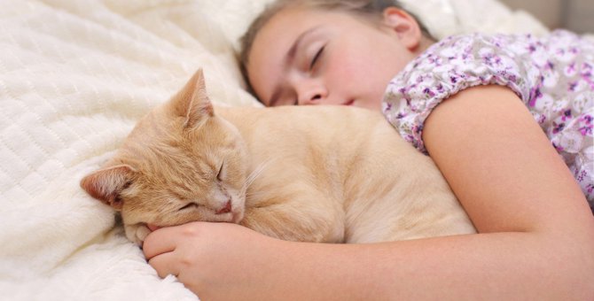 猫が『一緒に寝たい人・寝たくない人』の特徴3つ