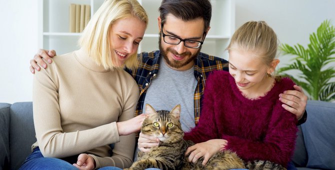 猫が家族に『順位づけ』をする時の法則3つ！上位の家族にだけする行動とは？