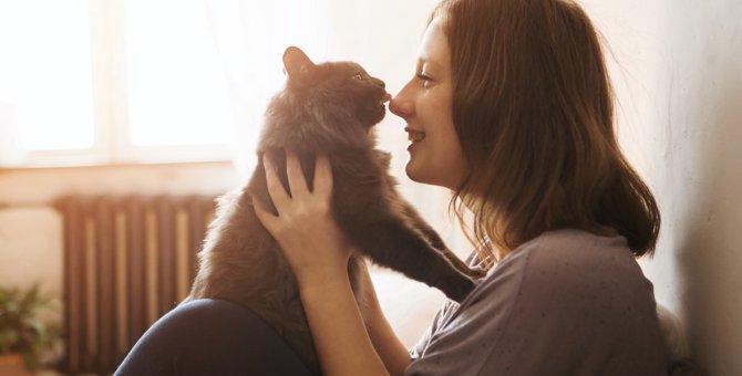 猫と『初対面』で仲良くなる方法はある？試したい５つのアイデア