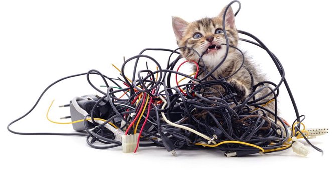 猫はなぜ『電気コード』を噛むの？4つのワケと事故防止策