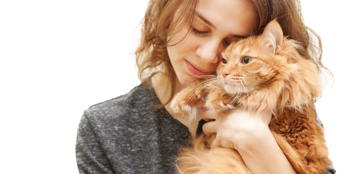猫と触れ合うと『心が癒やされる』のはなぜ？考えられる3つの理由