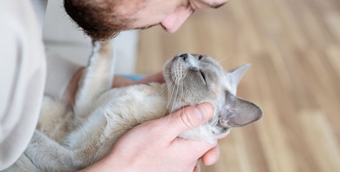 愛猫は『幸せ』と感じてる？5つの確かめる方法