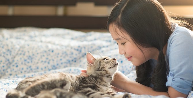 子猫の口がくさい5つの原因と対処法