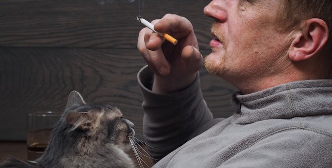 百害あって一利なし...タバコが猫に与えるリスクと吸いたい人の対処法