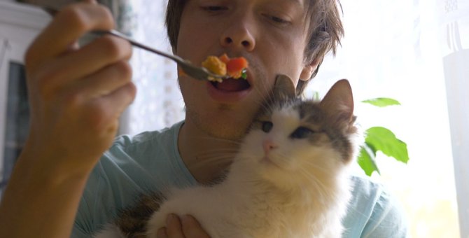 猫にとっては毒になる！絶対『与えちゃダメな人間の食べ物』ランキングワースト3