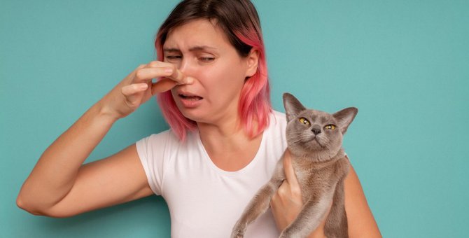 猫が『臭う』時の5つの原因と対処法　病院に行く必要がある場合も