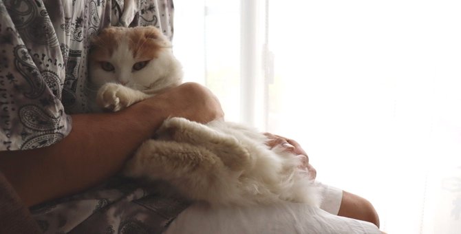 猫が腕に『ケリケリ』する理由2つ　止めさせる方法と対策