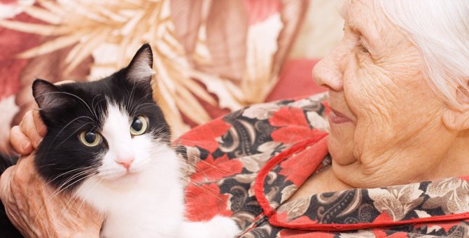 猫と人間の『老化』で起こる3つの問題！今から備えるべきことは？