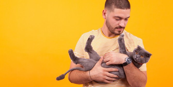 猫が『抱っこ』すると暴れる！4つの原因と対策
