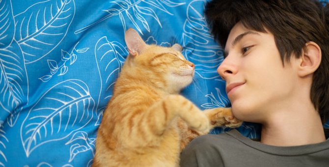 猫が飼い主に『くっついて寝る』ときの心理5つ