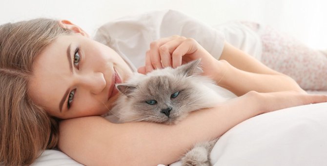 猫の『添い寝OK・NGサイン』の見極め方4つ