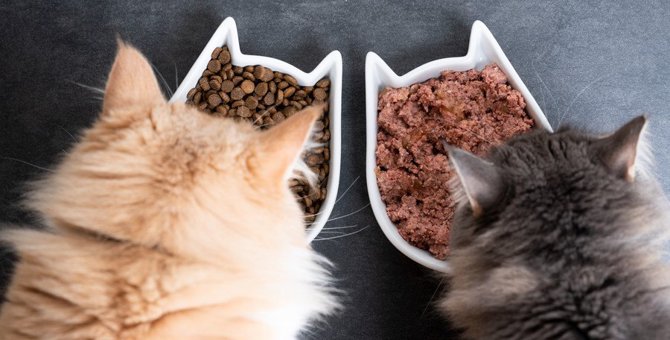 猫が『早食い』になってしまう３つの原因！そのデメリットと対策