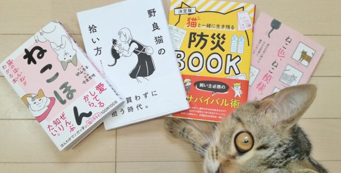 猫の本を多数執筆！ライター『富田園子さん』にインタビュー