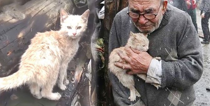 火事で家が全焼した猫とおじいさん。途方に暮れる中で起こった奇跡的な展開とは？