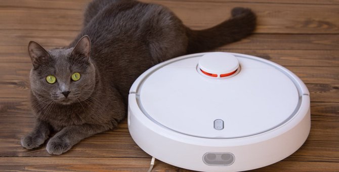 猫と『お掃除ロボット』の共存は可能？メリット・デメリットをそれぞれ解説！