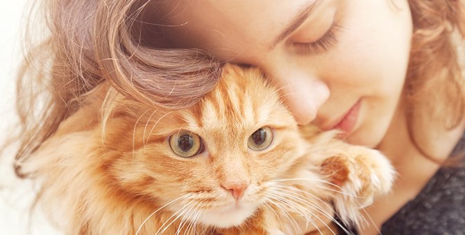 猫との信頼関係を深める5つの方法