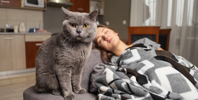 猫が寝てると攻撃してくるのはなぜ？3つのワケと対策