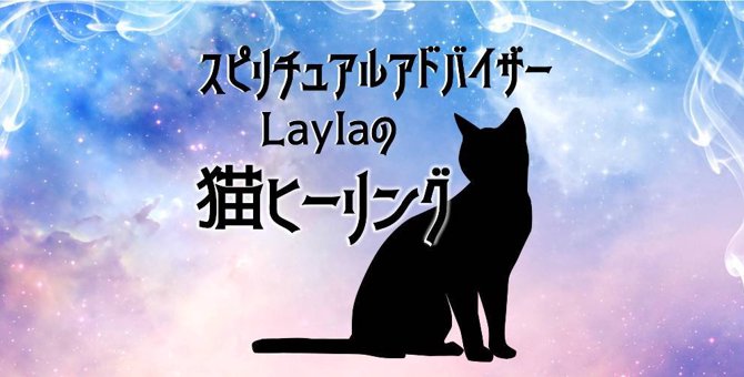 Laylaの猫コラム 「猫の毛には魂が宿る」不思議な体験