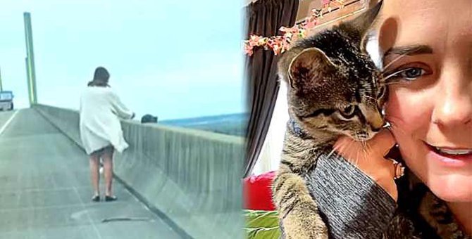 鳥に狙われる橋の上の子猫……温かい家族に囲まれ幸せに♡