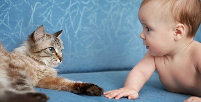 猫への話しかけは『赤ちゃん言葉』がいいって本当？3つのメリット