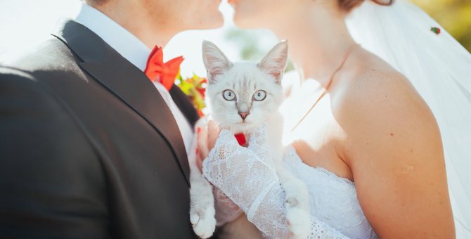 猫好きさんの結婚式！愛猫がウェディングに参加するためのアイデア＆アイテム