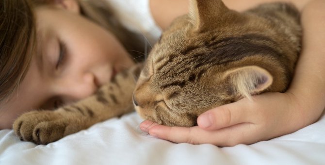 『添い寝』が好きな猫・嫌いな猫がいるのはなぜ？3つの理由