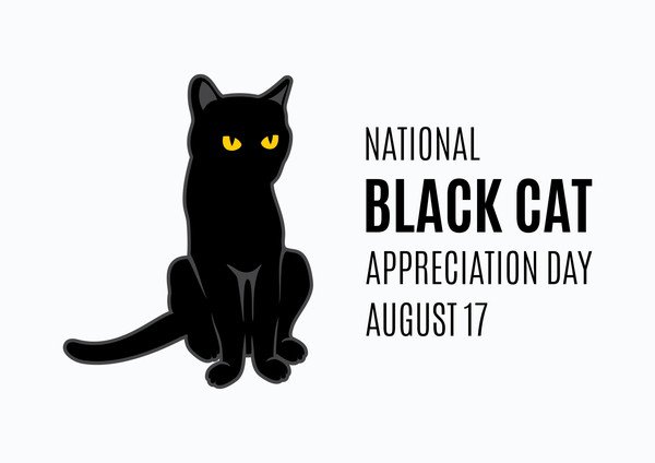8月17日は黒猫感謝の日！生まれた理由や世界に広がり得た効果