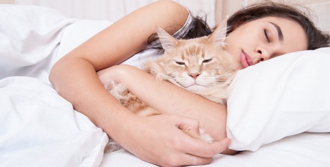 猫からの信頼度は『寝る位置』でわかる！4つのパターンと気持ち
