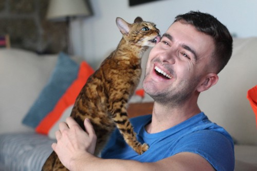 男性の顔を舐める猫