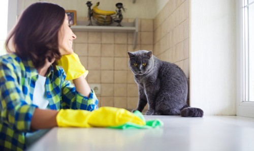 女性の掃除を眺める猫