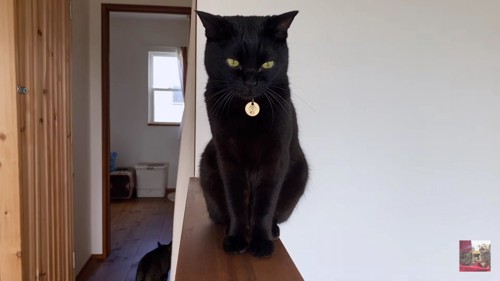 手すりの上の黒猫