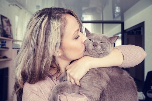 グレーの猫にキスする女性