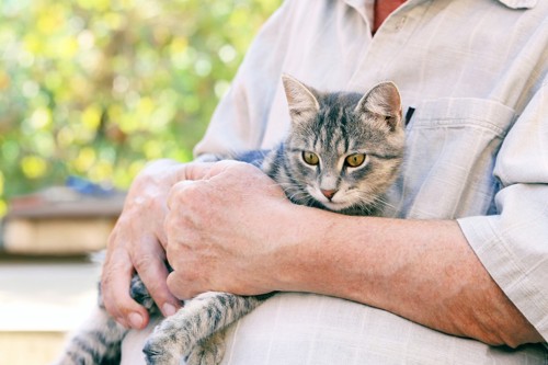 老人に抱っこされる猫