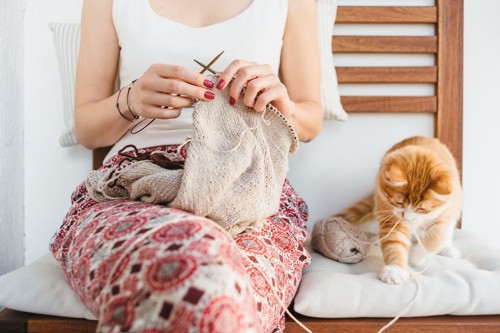 女性の横で毛糸を噛む猫