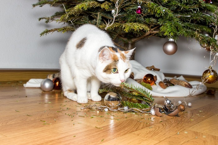 クリスマスツリーを壊した猫