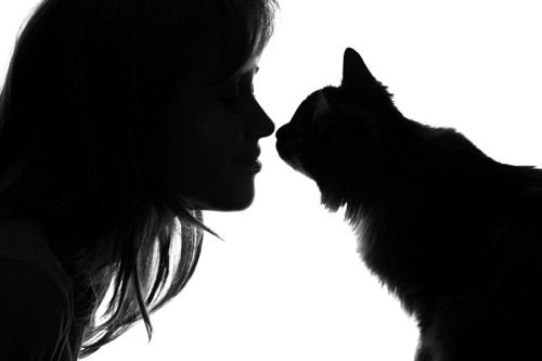 猫と女性のシルエット