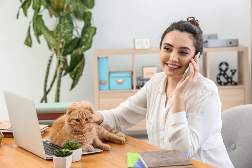 机の上のパソコンに乗る猫を撫でながら電話をする女性