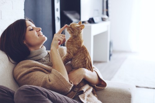 猫の鼻に指をつける女性
