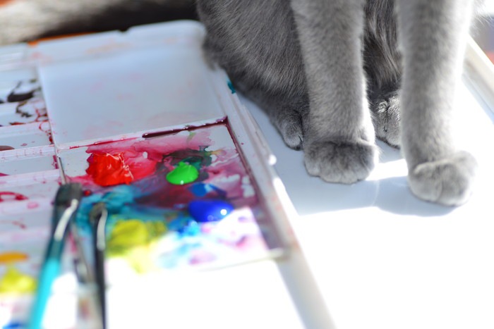 絵具と猫