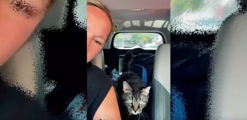 車中にキジトラ猫と女性
