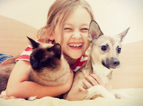 犬と猫を抱きしめて寝転ぶ少女