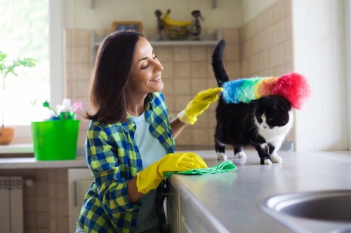 掃除をしている女性と猫