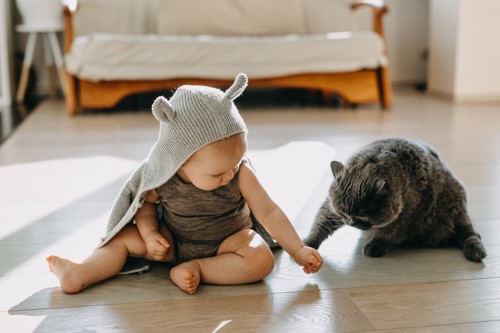 床に座る赤ちゃんとグレー猫