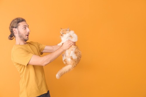 びっくりしている男性に抱かれる猫