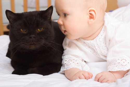 黒猫と赤ちゃん